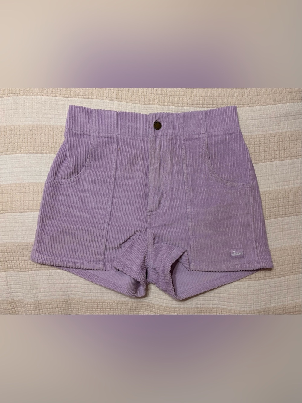 Hammies High-Waist Corduroy Shorts in Powder Purple Lavendar 28